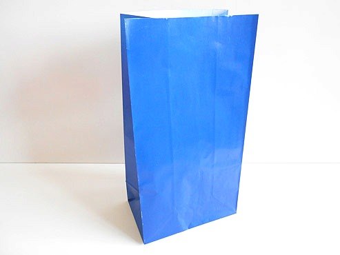 Royal Blue Paper Party Bag (26x13x9)