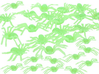 Glow in the Dark Spider