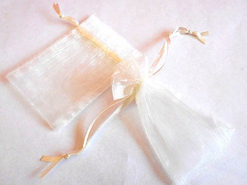 Mini Ivory Organza Bag