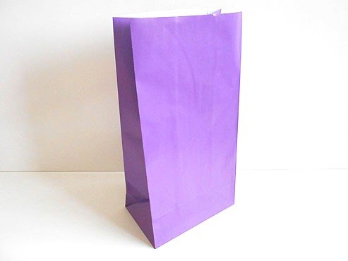 Purple Paper Party Bag