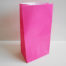 Hot Pink Paper Party Bag (26x13x9)