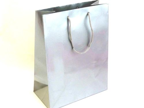 Large Silver Gift Bag (23x18x9)