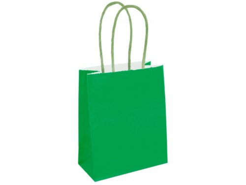 Mini Green Paper Party Bag