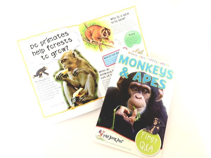 Monkeys & Apes - Miles Kelly Little Press