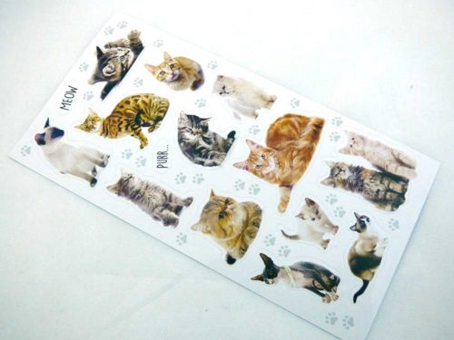 Mini Stickers - Cats & Kittens